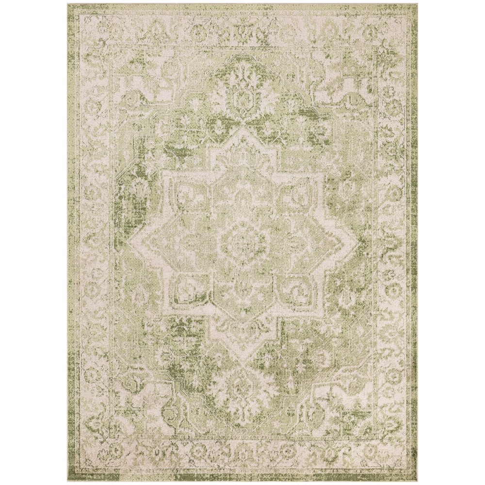 Nourison Astra Machine Washable Distressed Area Rug