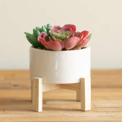 Artificial Plant4" SUCCULENTS MIX IN POT W/ STAND - ONE-SIZE