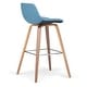 preview thumbnail 130 of 147, WYNDENHALL Cacey Mid Century Modern Bentwood Counter Height Stool (Set of 2) - 20.7'' x 21.1'' x 36.6