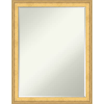 Owen Half-Inch-Bevel Framed Bathroom Vanity Wall Mirror - Owen Gold - 21 x 27 in