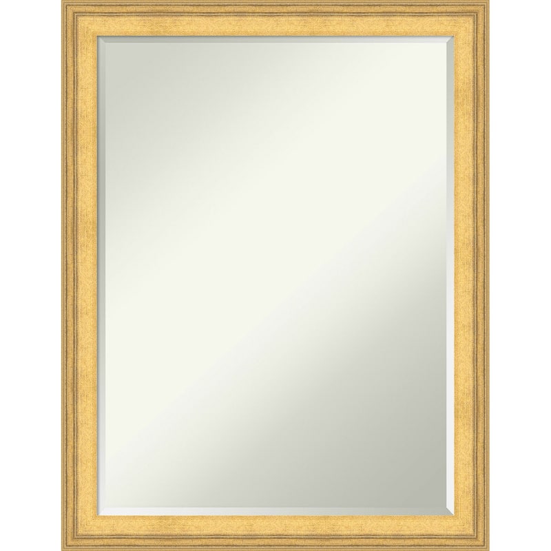 Owen Half-Inch-Bevel Framed Wall Mirror - Owen Gold - 21 x 27 in