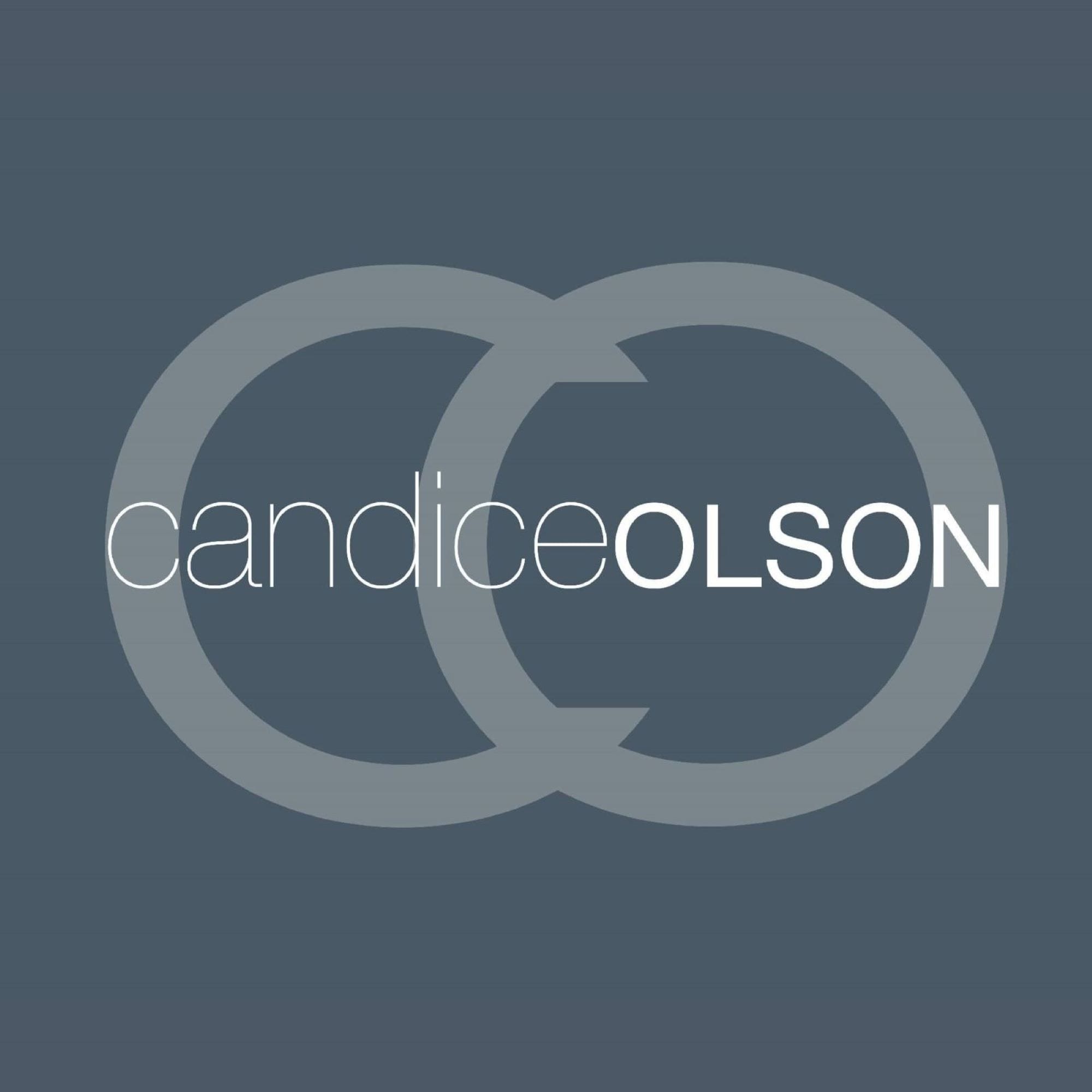 Candice clearance olson pillows