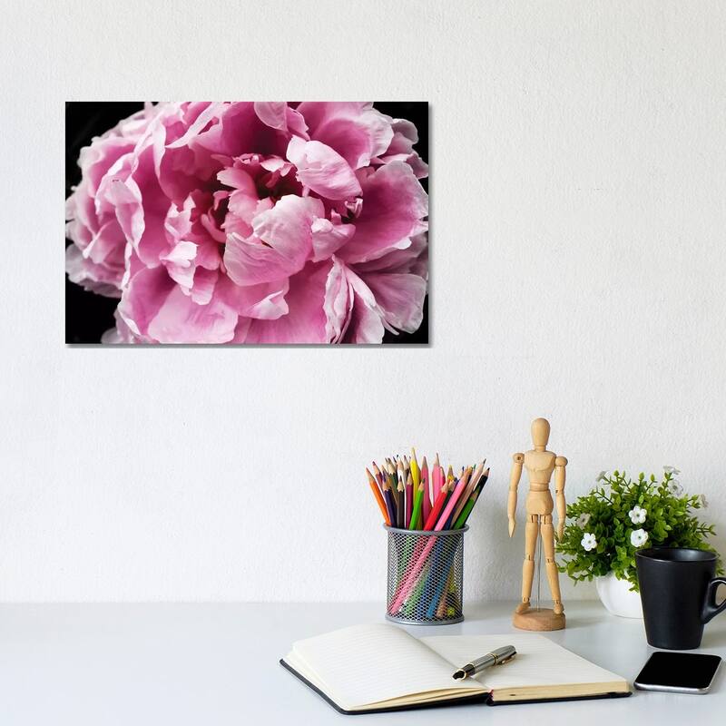 iCanvas "Pink Peony Passion IV" by Irena Orlov Canvas Print - 8x12x0.75