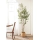 preview thumbnail 15 of 24, Kate and Laurel Oliveira Faux Olive Tree