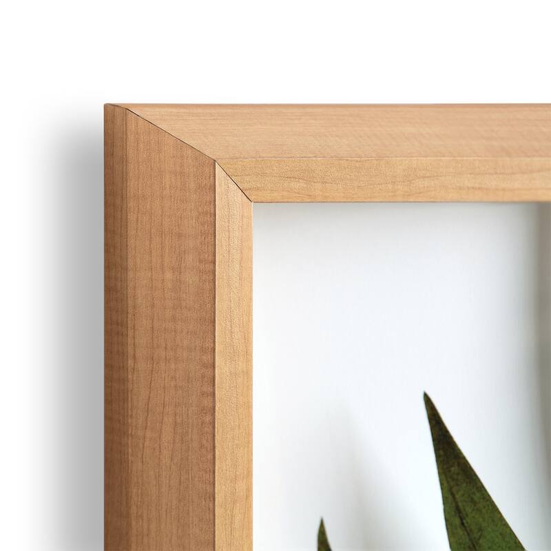 Kate and Laurel Blake Botanical 5F Printed Glass by Amy Peterson