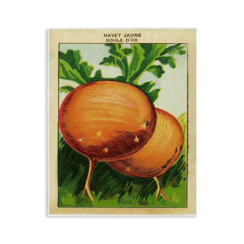 Stupell Country Vintage Onions Wall Plaque Art Design By Lil' Rue - 11 x 14