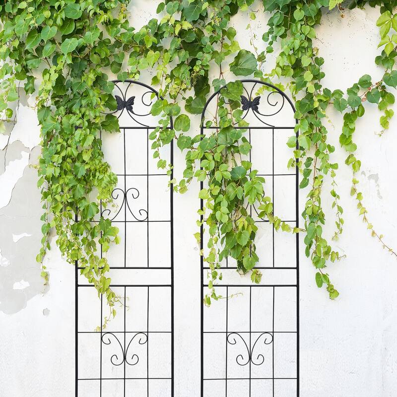 2 Pack Metal Garden Trellis 86.7in x 19.7in Rustproof Trellis
