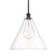 Option Oil Rubbed Bronze / Clear