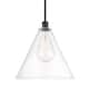 Option Oil Rubbed Bronze / Clear