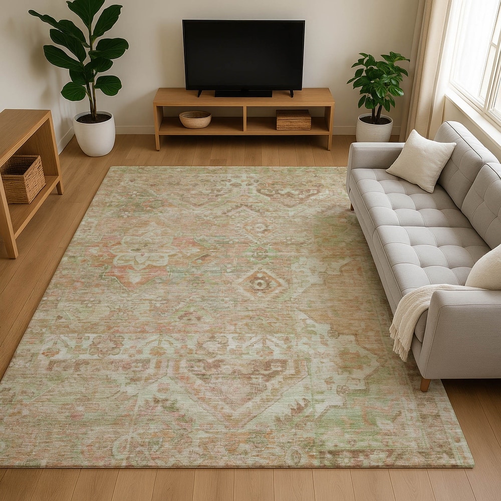 Premium Washable Super Soft Boho Global Mayfield Rug