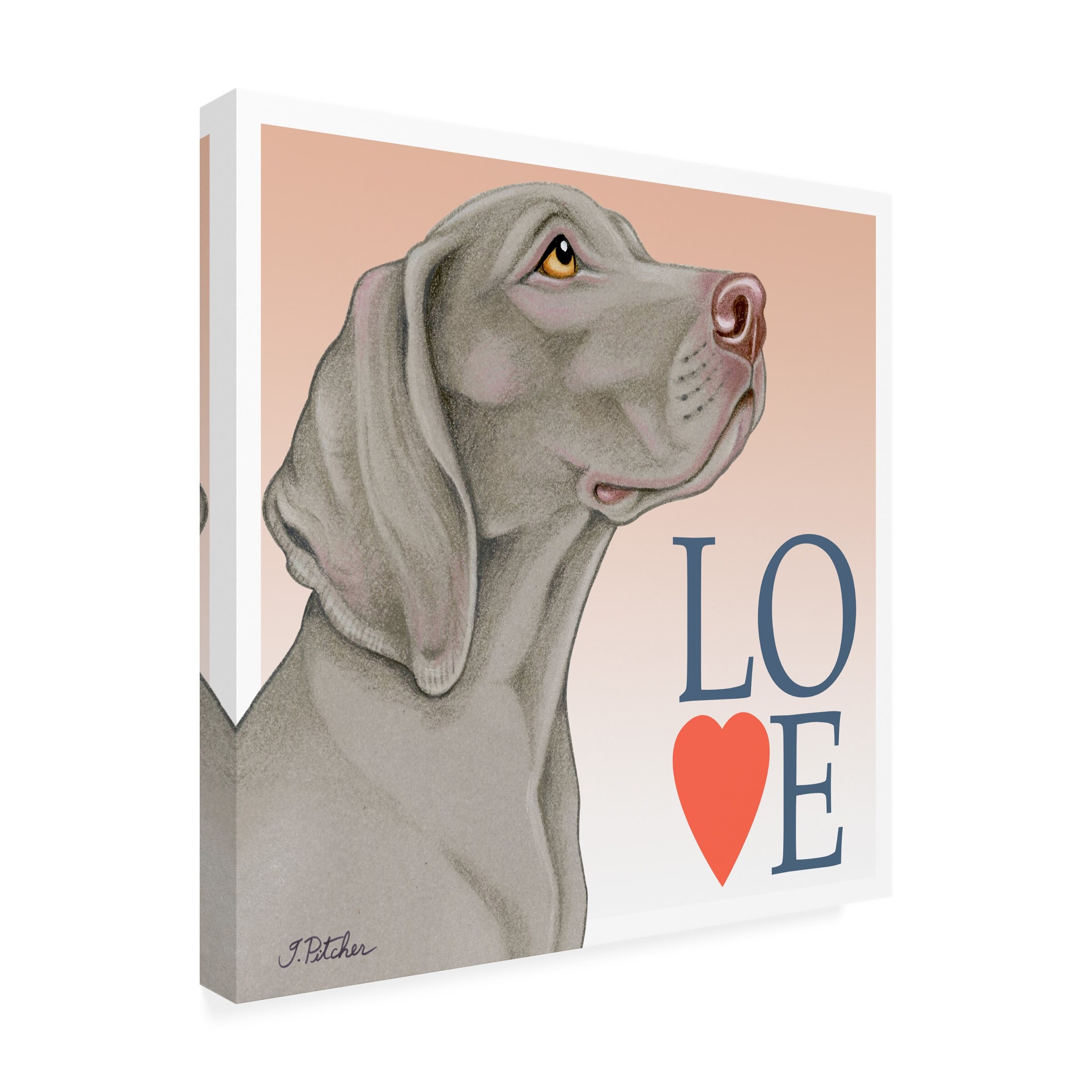 Shades of gray store weimaraners