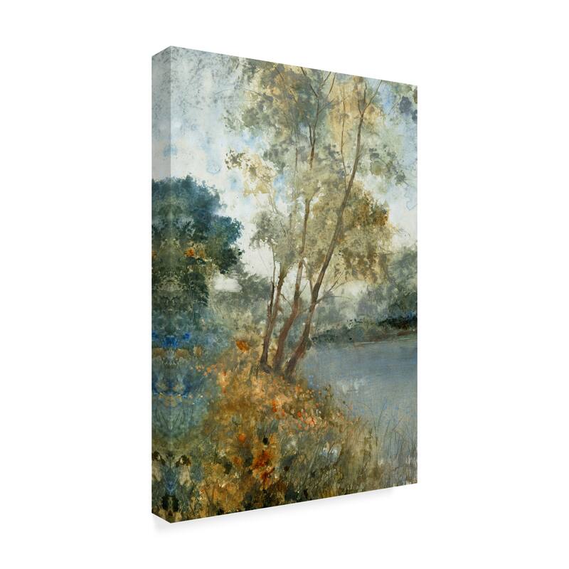Tim Otoole 'Ethereal Waters I' Canvas Art