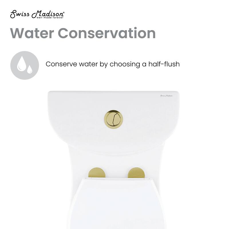 Besanon One Piece Elongated Toilet Dual Flush, Brushed Gold Hardware 1.1/1.6 Gpf - 27.75" x 15.55" 28.4"