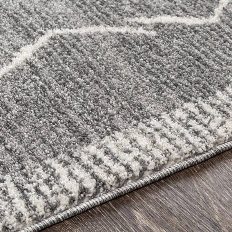 Livabliss Transitional Andorra Tribal Area Rug