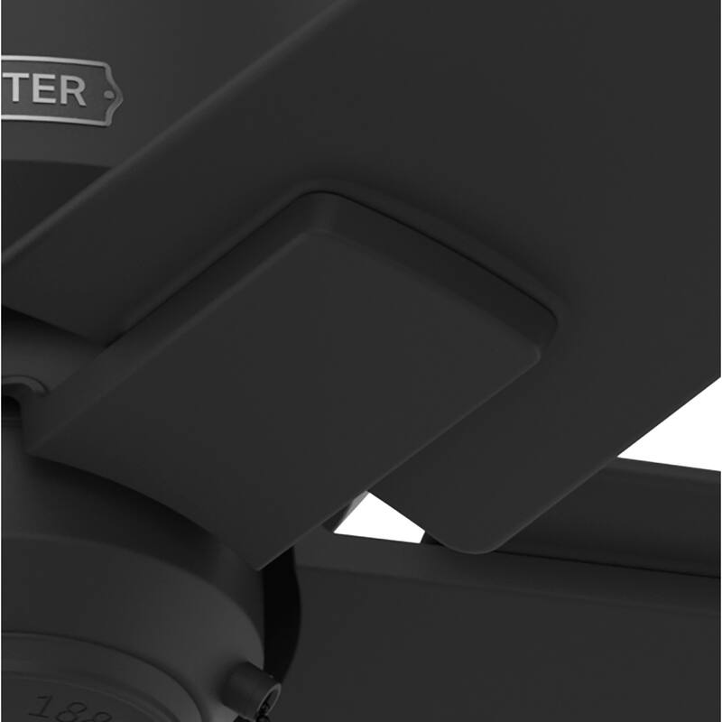 Hunter 44" Terrace Cove Outdoor Low Profile Ceiling Fan and Pull Chain, Damp-Rated