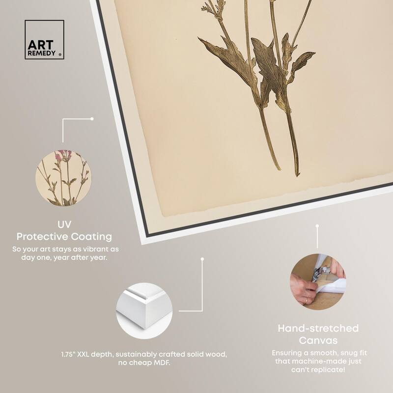 Dried Flower Canvas by Art Remedy