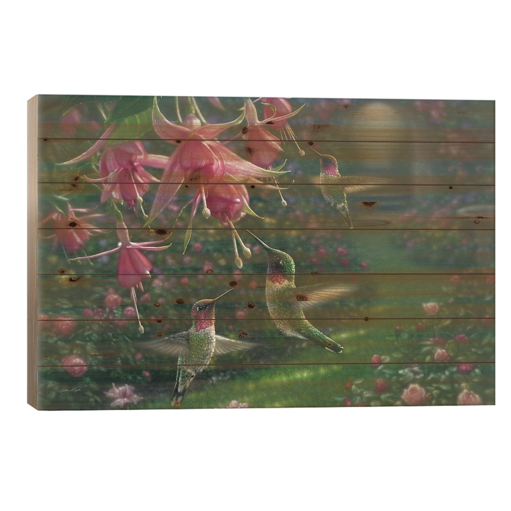 Hummingbird Haven, Horizontal Print On Wood by Collin Bogle - Multi-Color