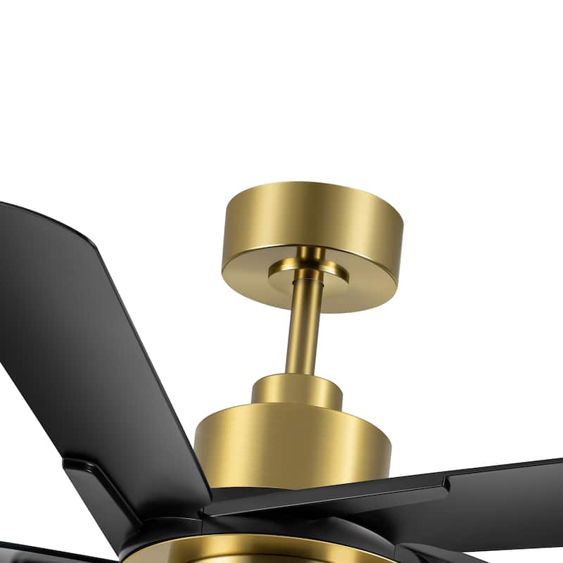 60" Modern Black ABS 5-Blade Propeller Ceiling Fan with Light and Remote