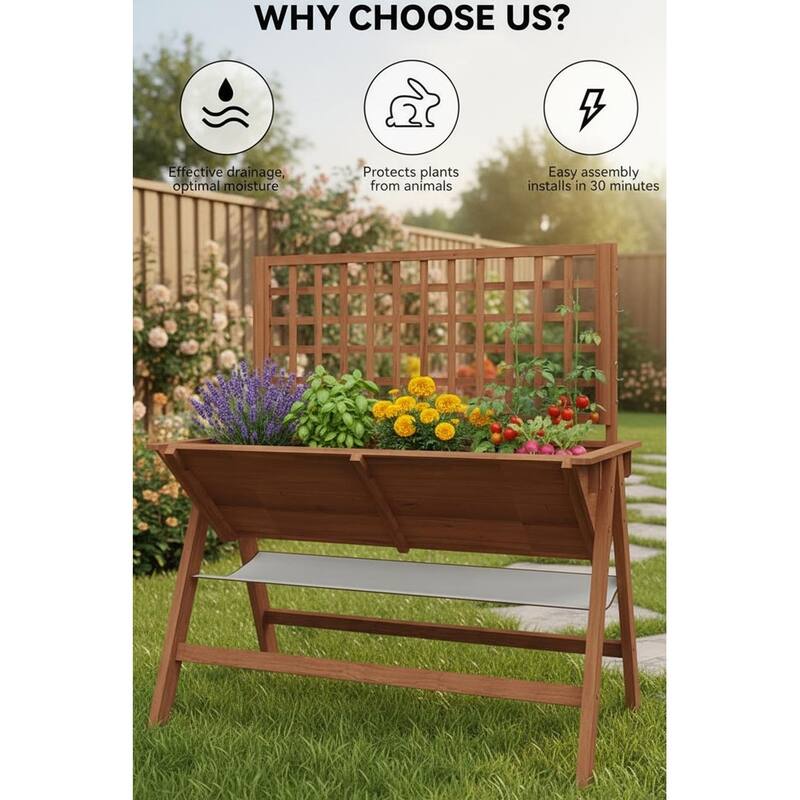 Elevated Garden Bed, with Climbing Trellis