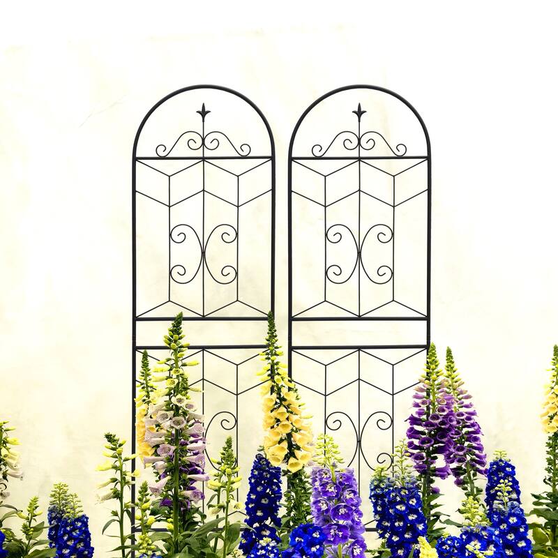 2 Pack Metal Garden Trellis 71" x 19.7" Rustproof Trellis for Climbing Plants Outdoor Flower Support