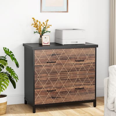 Lateral File Cabinet with 2 Drawers for Home Office, Letter Size
