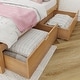 preview thumbnail 28 of 28, Max and Lily Full-Size Bed with Panel Headboard and Storage Drawers