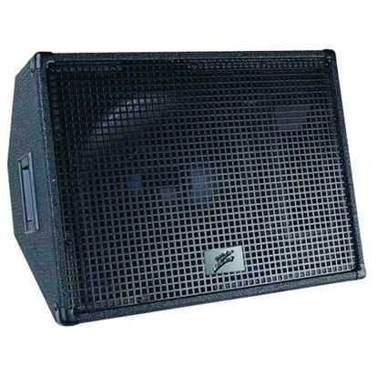 Zebra 12?-- 2-Way Stage Monitor