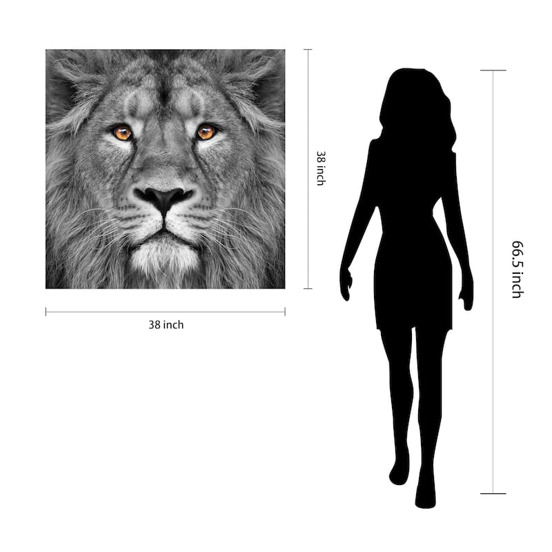 King of the Jungle Lion Unframed Free Floating Tempered Glass Wall Art