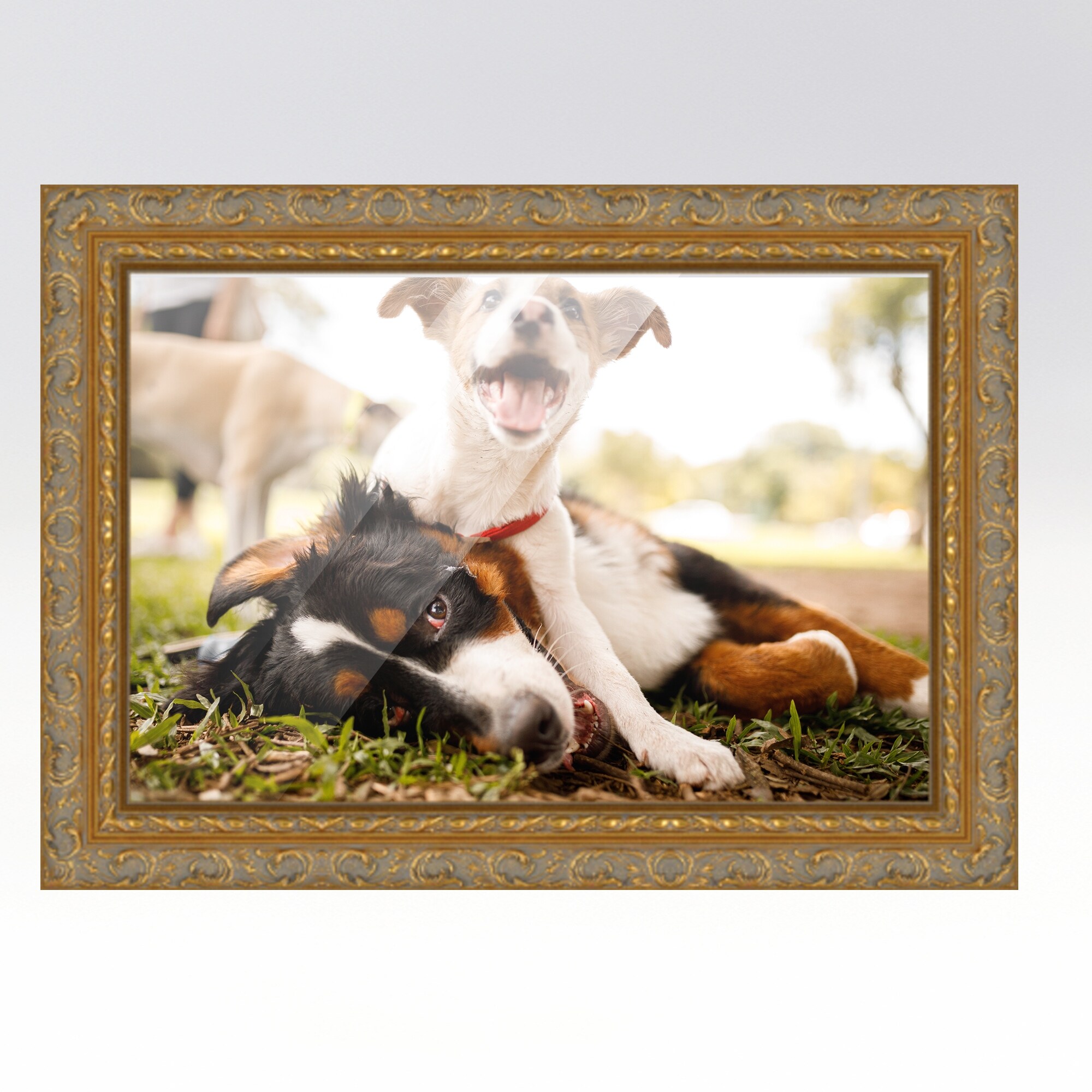24x30 Frame Gold Real Wood Picture Frame Width 2 inches | Interior