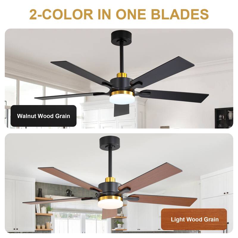 Cusp Barn 52" Modern Ceiling Fan with Light and Remote, Farmhouse Black 6 Speeds Reversible DC Motor Ceiling Fan for Bedroom