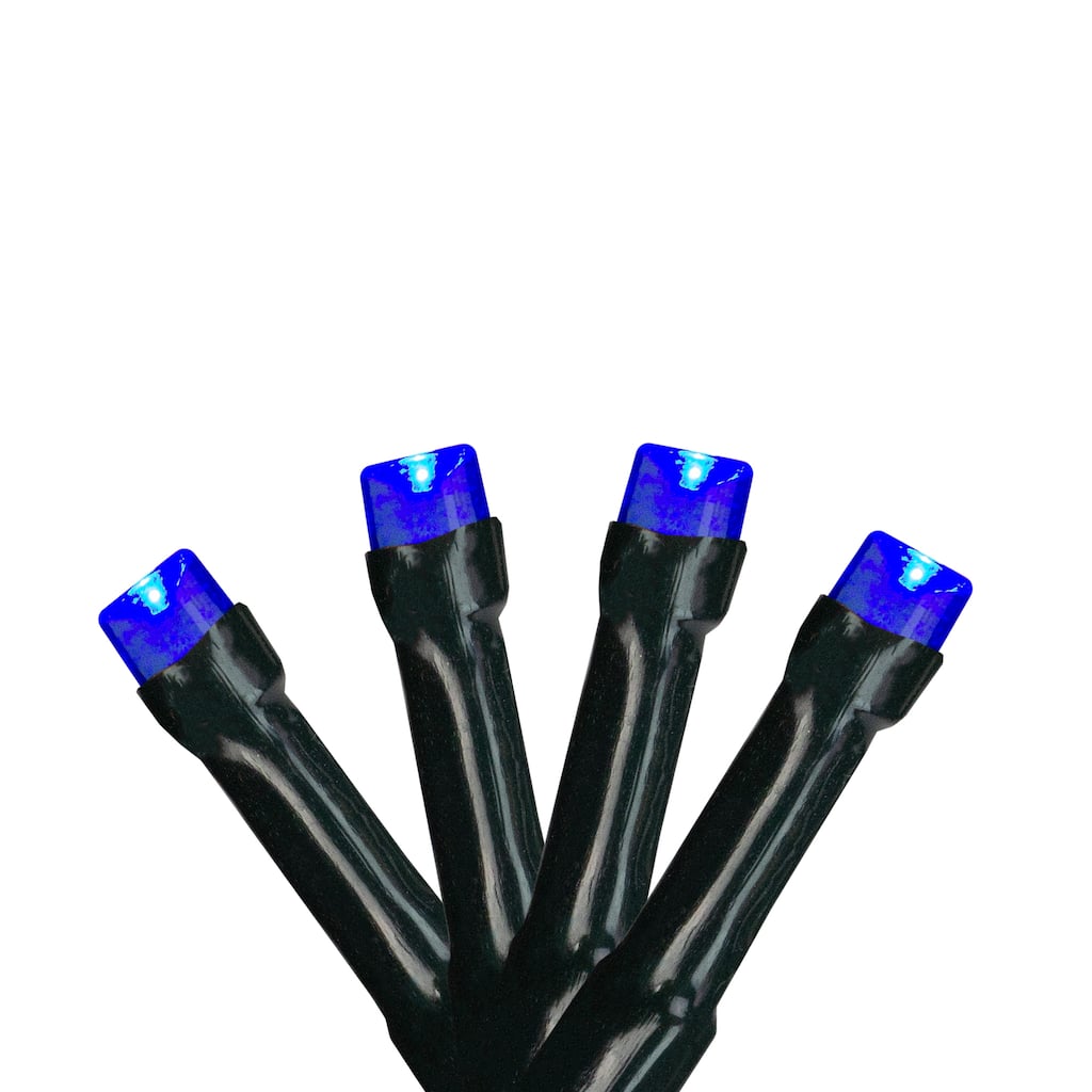 20 Battery Operated LED Wide Angle Christmas Lights - 9.5 ft Green Wire