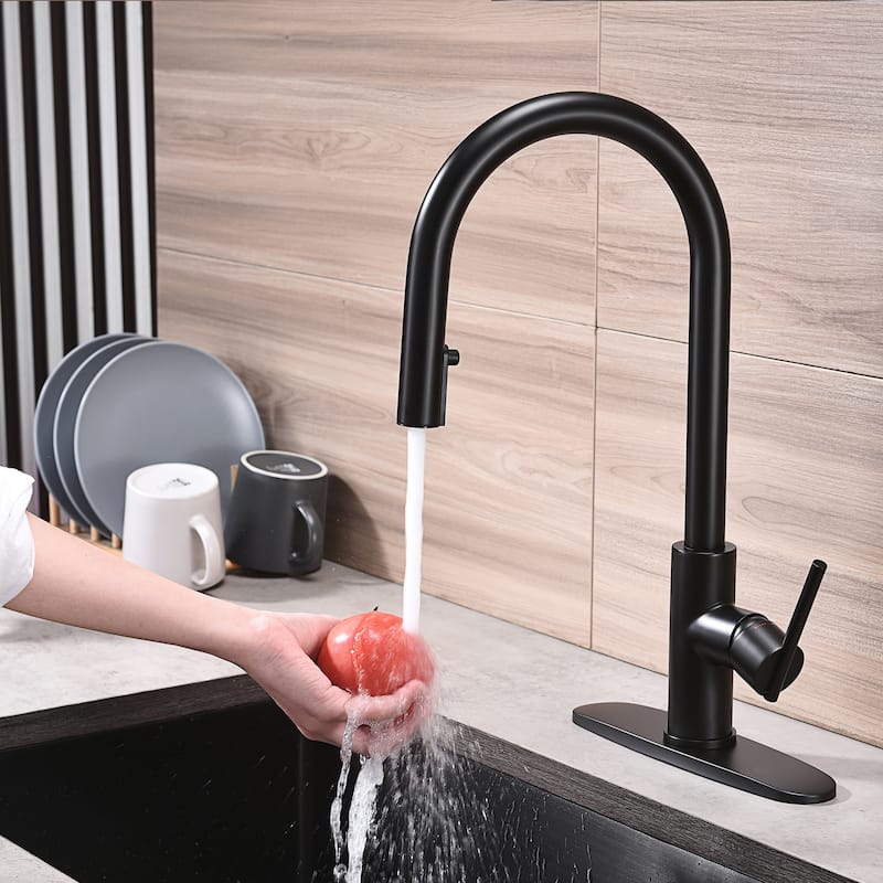 Single Handle Pull Out Sprayer Kitchen Faucet Deckplate Included in Stainless Steel