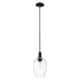 Option Clear Shade / Matte Black
