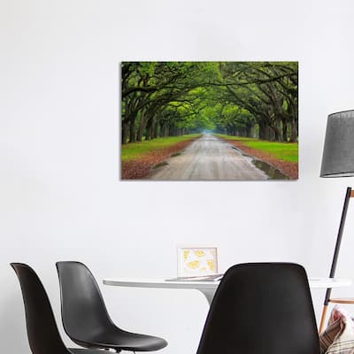 iCanvas "Oak Avenue, Wormsloe Plantation, Savannah, Georgia, USA" by Joanne Wells Canvas Print