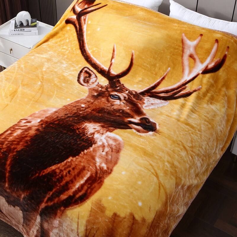 Raschel A&B Printed 2-ply Reversible Korean-style Plush Fleece Blanket