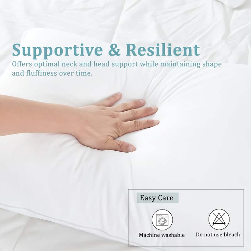 CraftPorch Elegence 2 Pieces Pillow