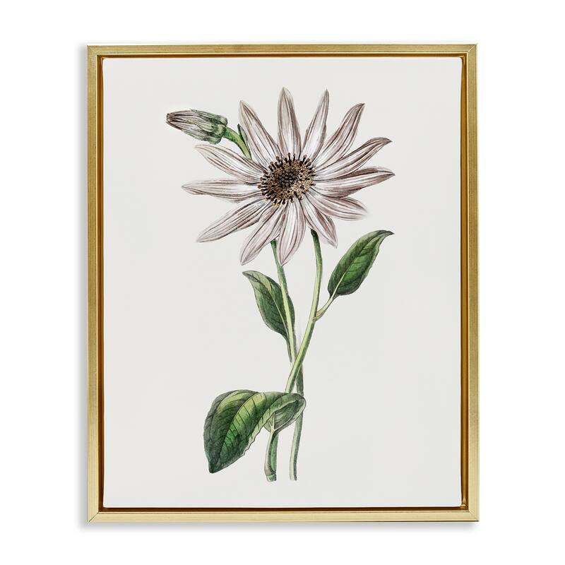 Stupell Vintage Mum Sprig Framed Floater Canvas Wall Art Design By CAD Designs - 17 x 21 - Gold