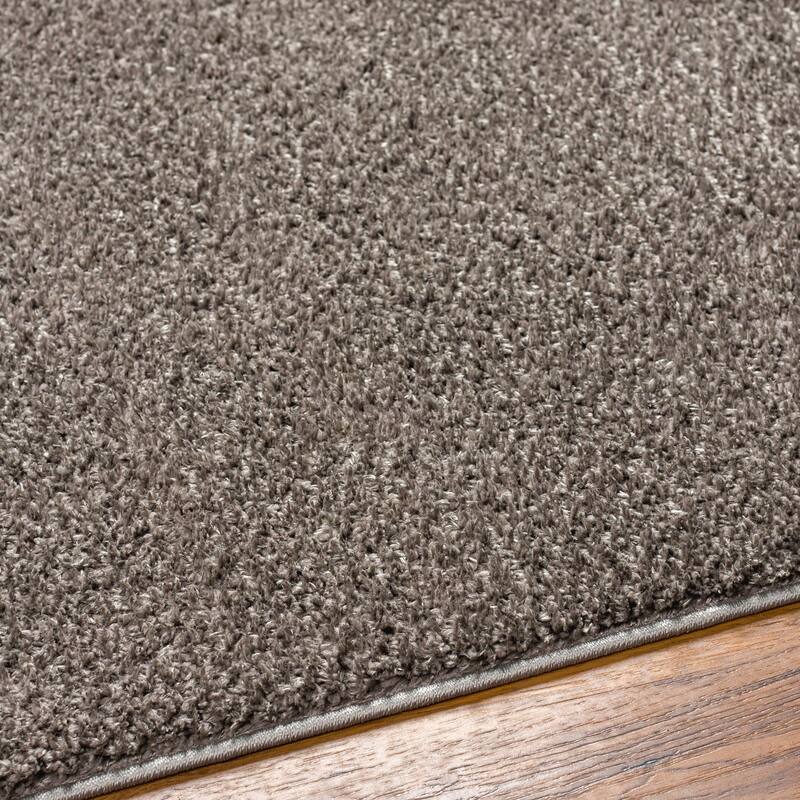 Artistic Weavers Alf Machine Washable Plush Area Rug