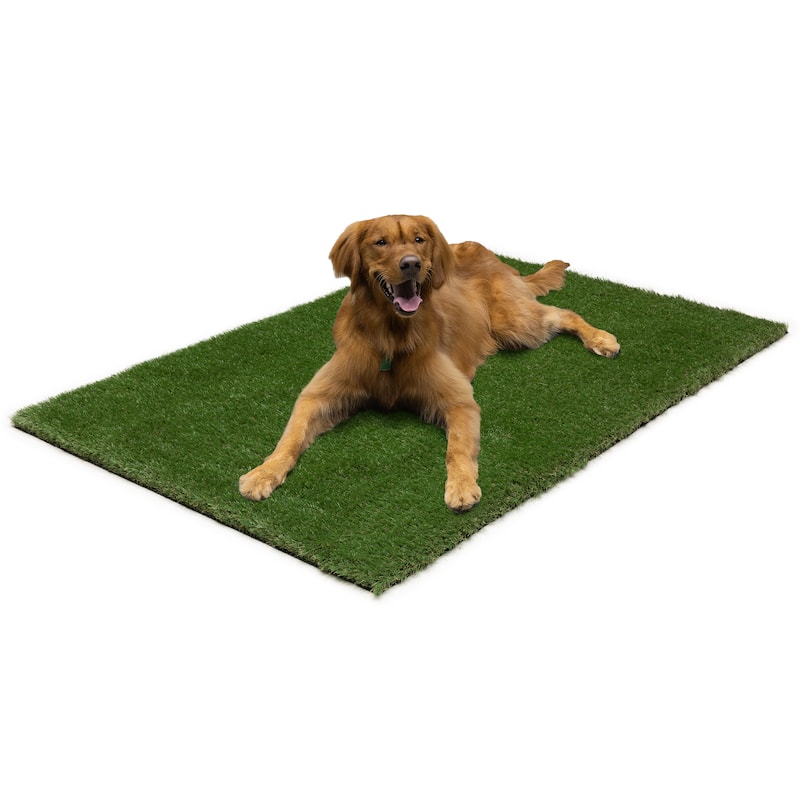 Style Haven Deluxe Artifical Turf Rug