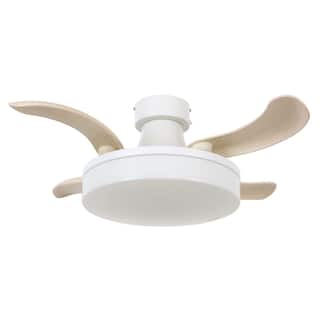 Fanaway Orbit 36-inch Ceiling Fan with Light