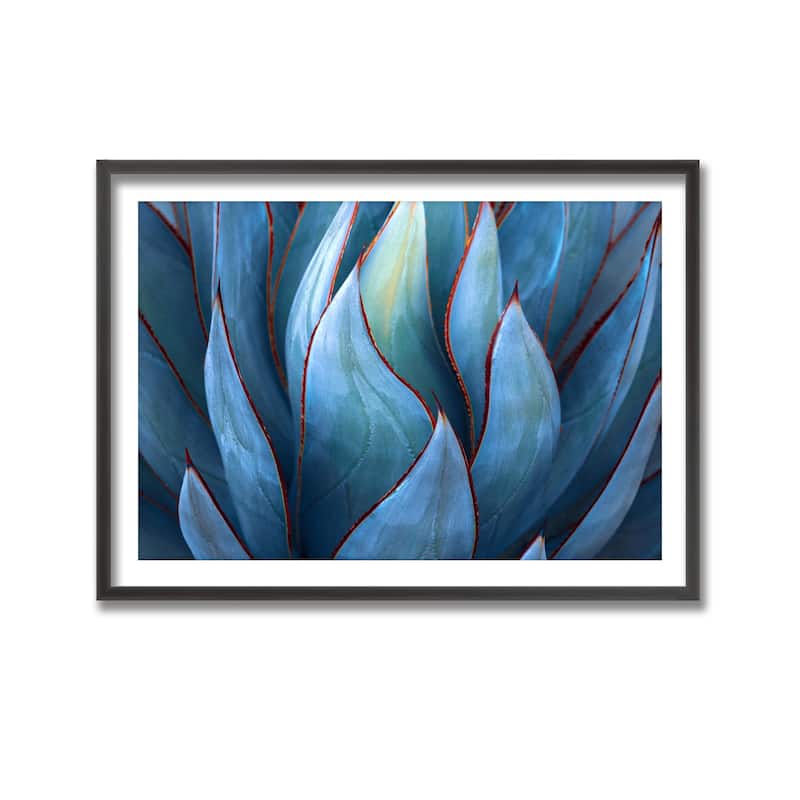 "Blue Agave Abstract" Framed Print Wall Art by Robin Wechsler