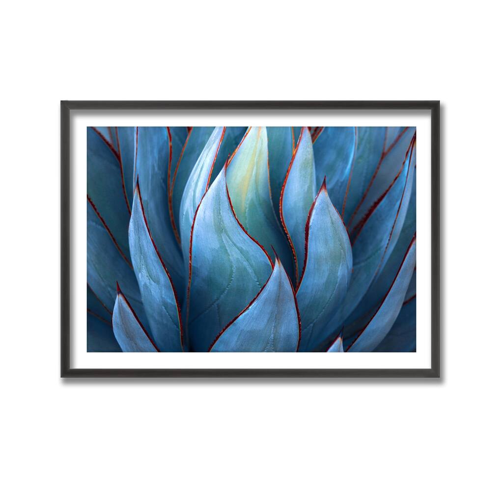 "Blue Agave Abstract" Framed Print Wall Art by Robin Wechsler