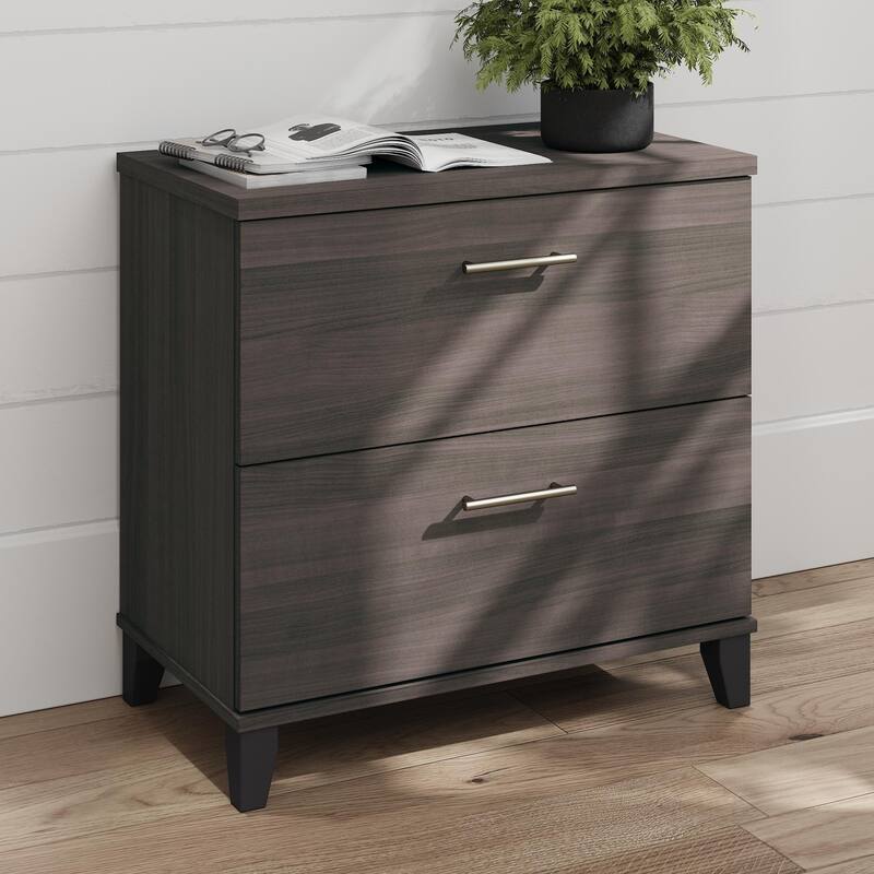 Bush Furniture Somerset 2 Drawer Lateral File Cabinet with Storage