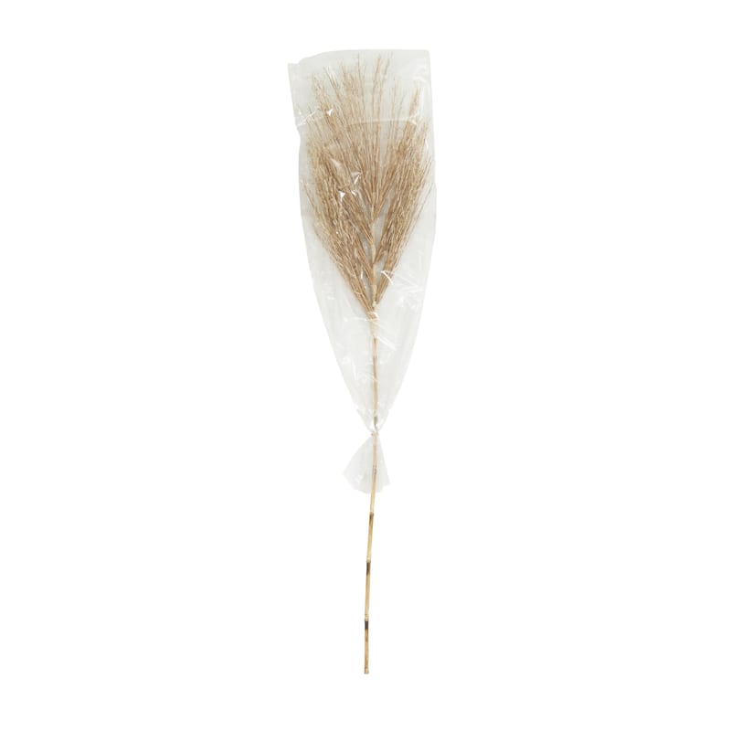 Dried Plant Palm Leaf Tall Home Decor Natural Foliage with Grass - Brown - Roche River Decor
