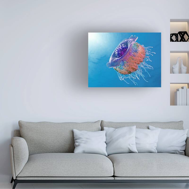 Henry Jager 'Crown Jellyfish' Canvas Art