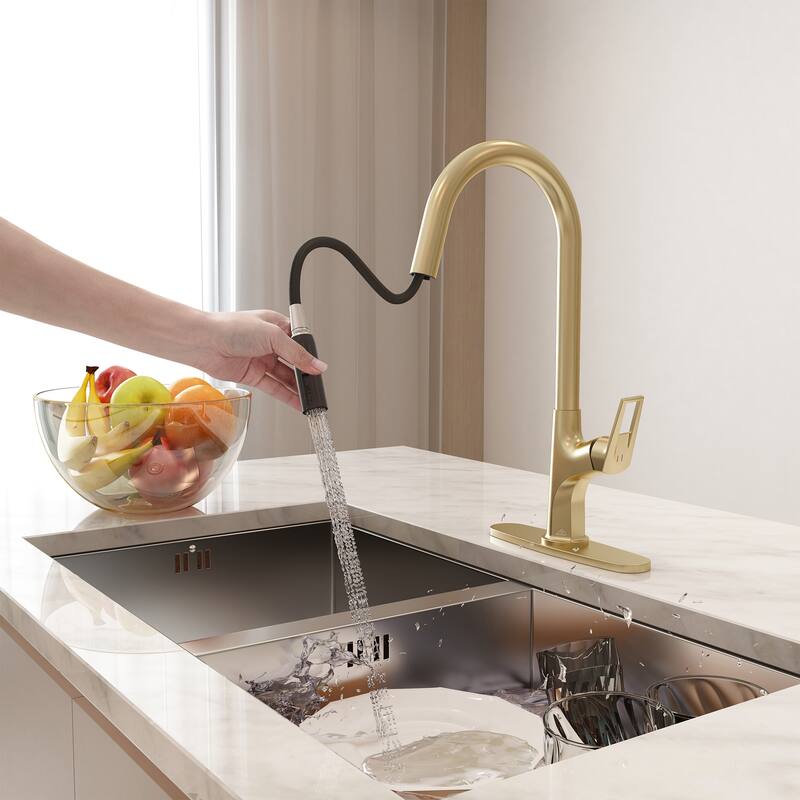 Kitchen Sink Faucet Single-Handle Pull-Out Sprayer Kitchen Faucet