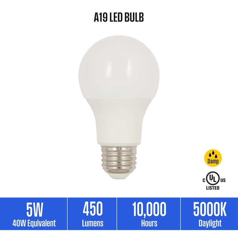 Westinghouse Lighting 5 Watt (40 Watt Equivalent) A19 Daylight LED Light Bulb, Medium Base, 6 Pack - White - 6-Pack