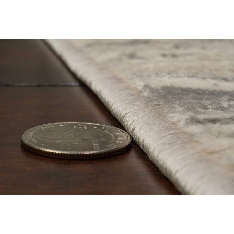 Dynamic Rugs Charlotte Traditional Area Rug