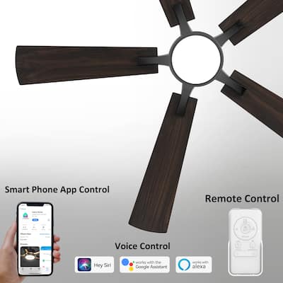 CARRO Elliott 56" 5-Blade Smart Ceiling Fan with Light and Remote