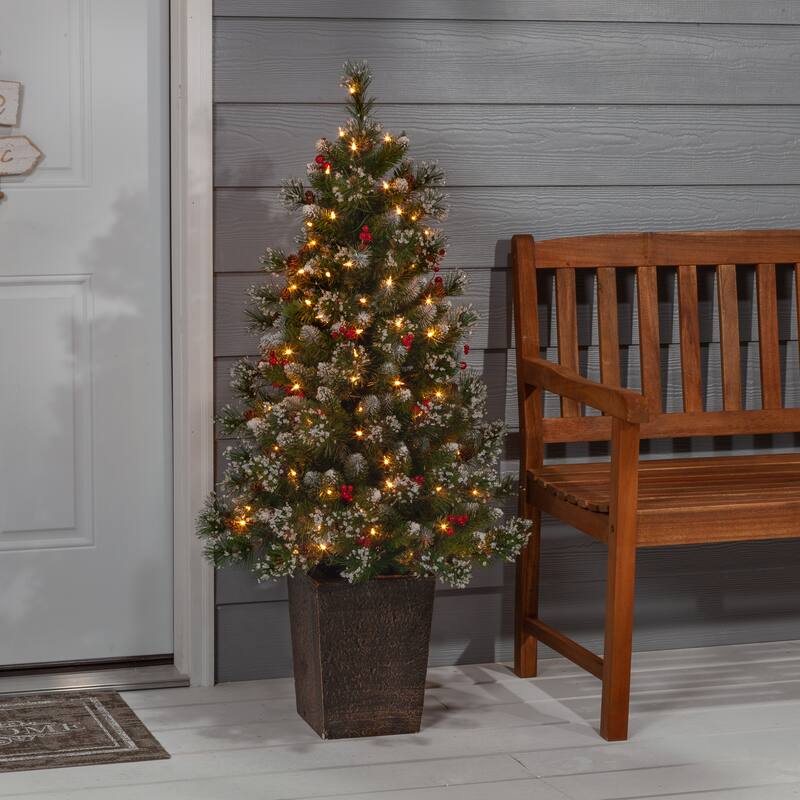 Elegant 4 Foot Potted Mixed Needle Glacier Pine